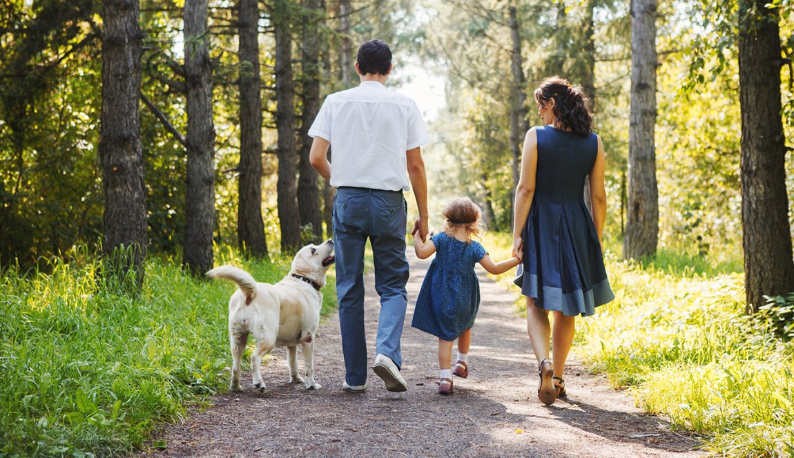 Family walking with dog and child. Family walking with dog and child.