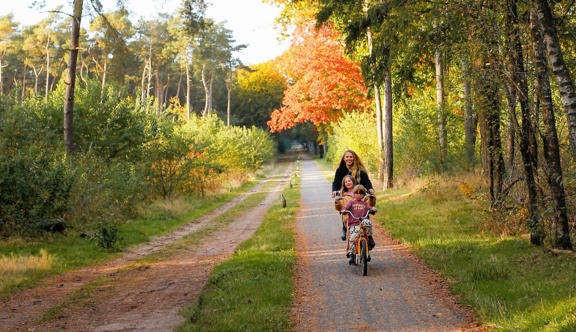 Elisabeth Van Lierop with the kids through the forest on a tandem Elisabeth Van Lierop with the kids through the forest on a tandem