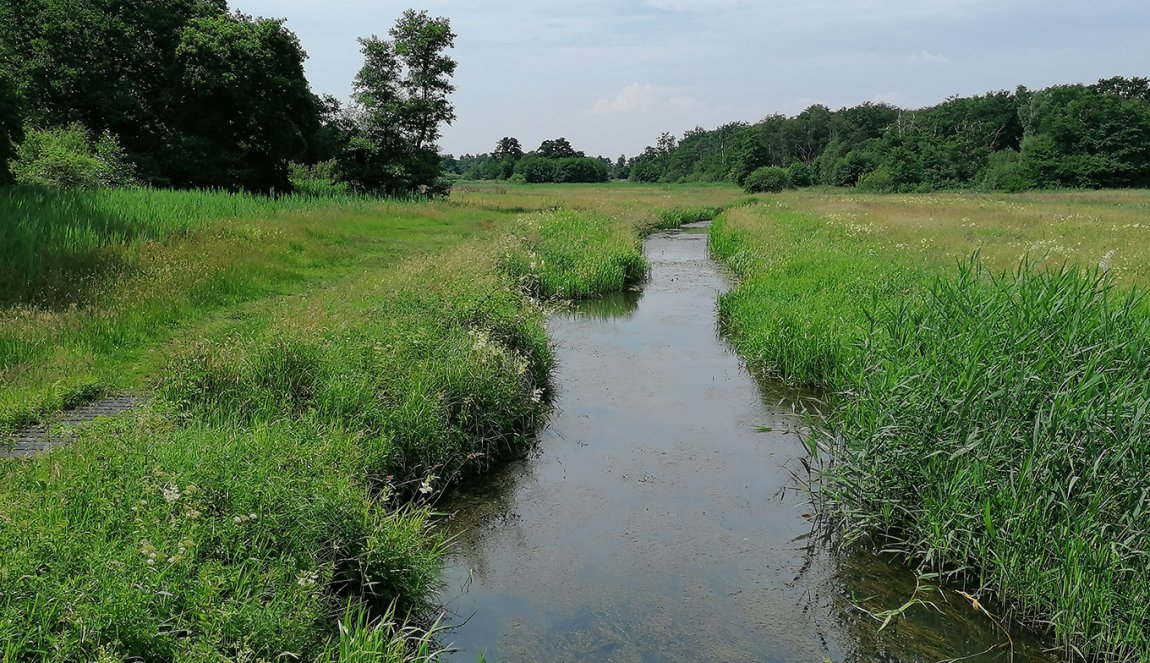 Drentsche Aa bij Oudemolen Drentsche Aa bij Oudemolen