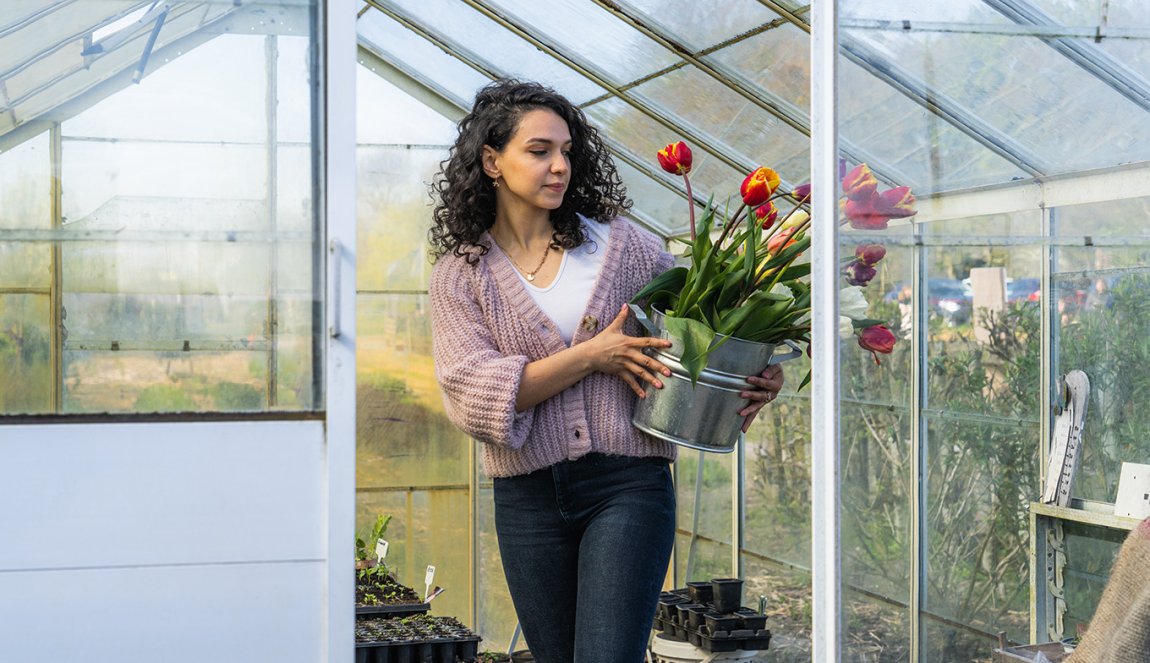 Lady in greenhouse with tulips in bucket 