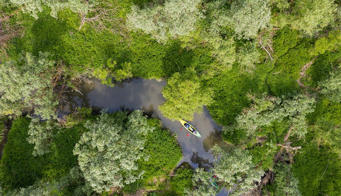 Canoeing through the Biesbosch from above 