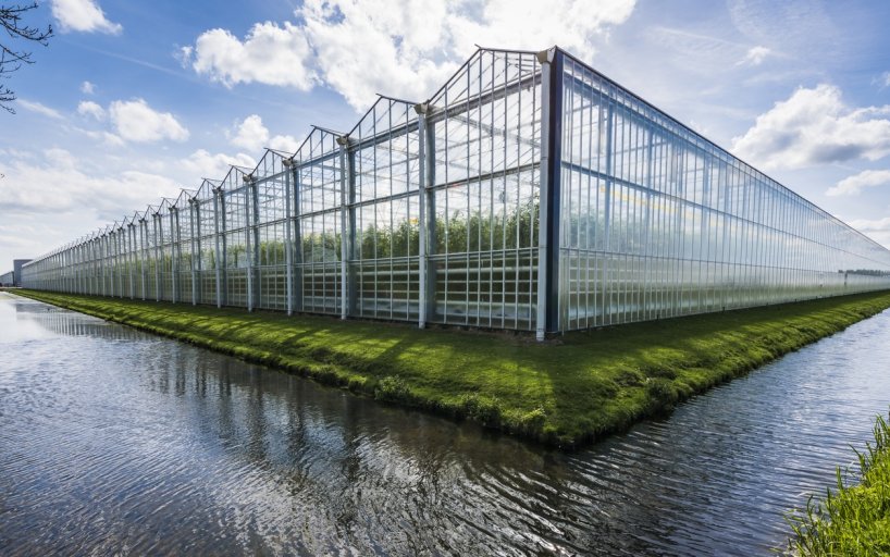 Get into the Greenhouse