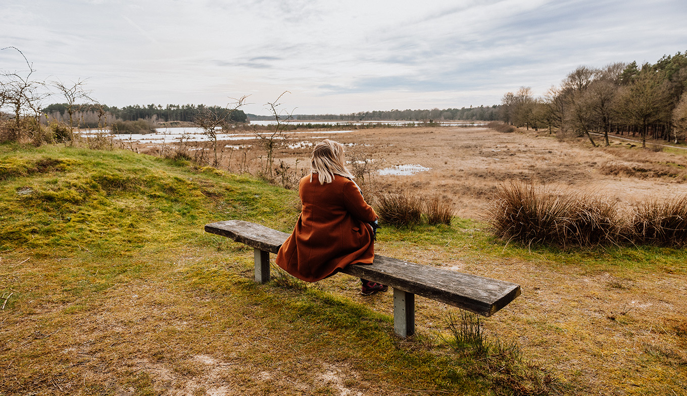 Van Gogh Drenthe sitting on bench peat bog
