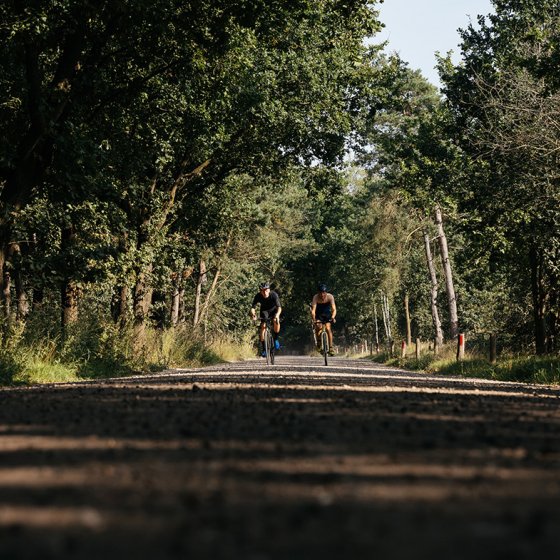 Sporty cycling through the forest