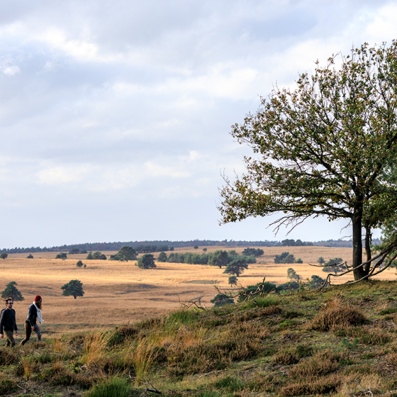 Couple walking on the Veluwezoom in autumn