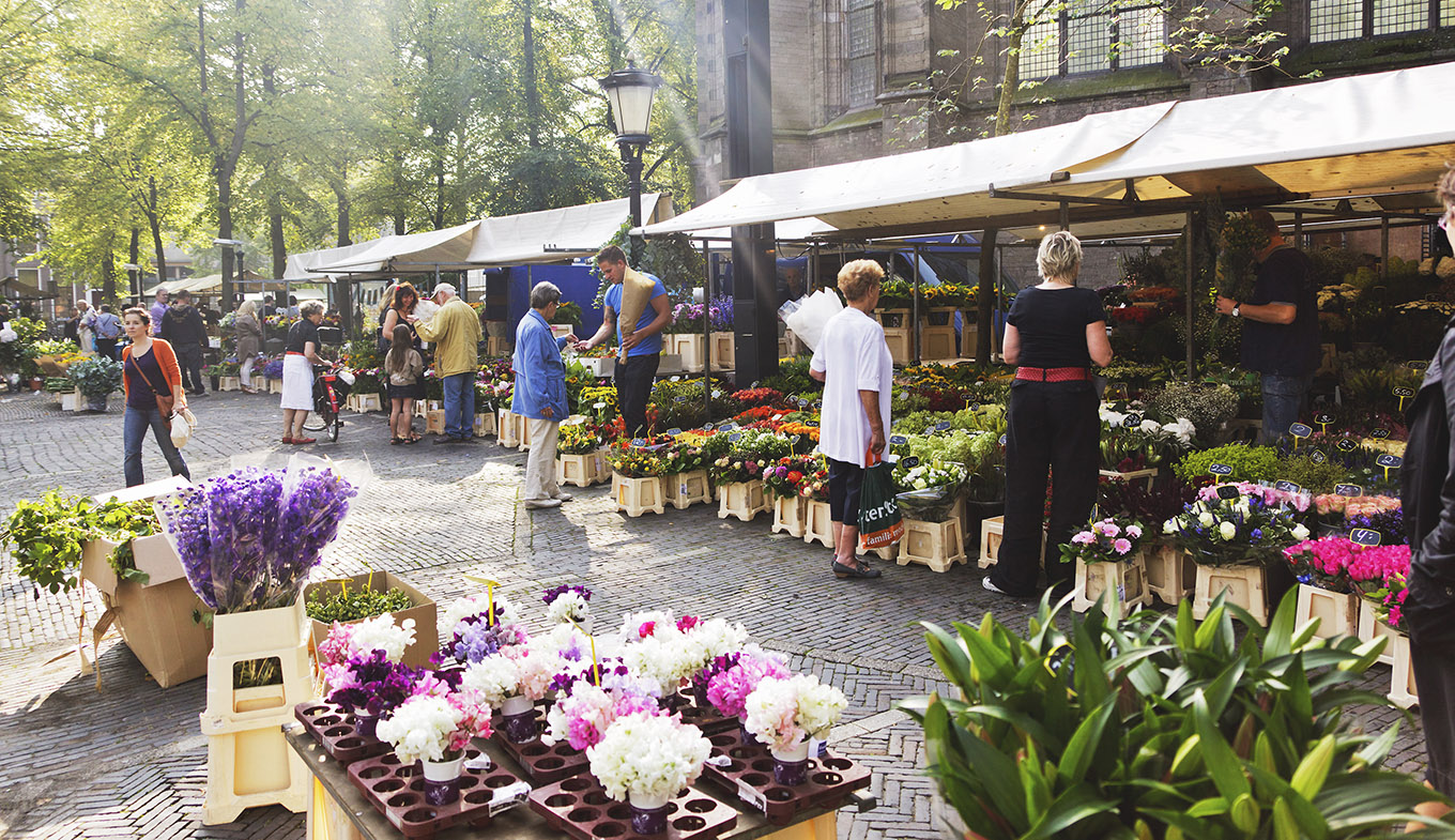 Flower market at Janskerkhof, Utrecht Flower market at Janskerkhof, Utrecht