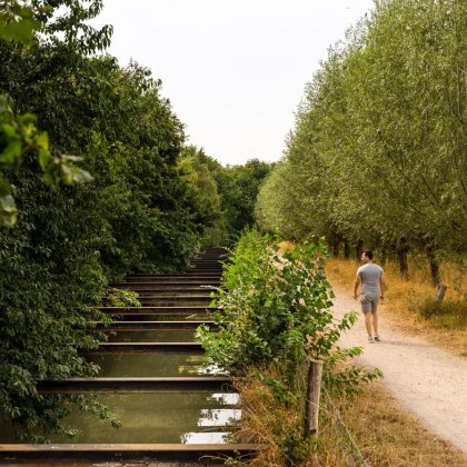 Hiker enjoys nature Tilburg