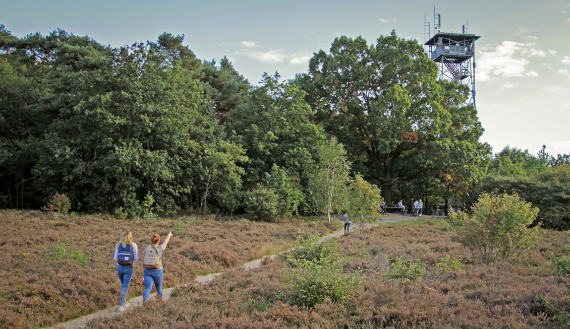 Walkers enjoy Besthmenerberg with heathland and watchtower