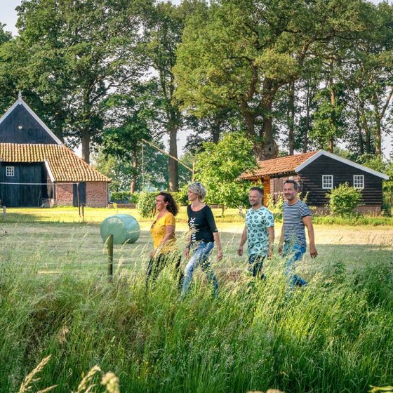 Traditional farm in the Achterhoek Gelderland