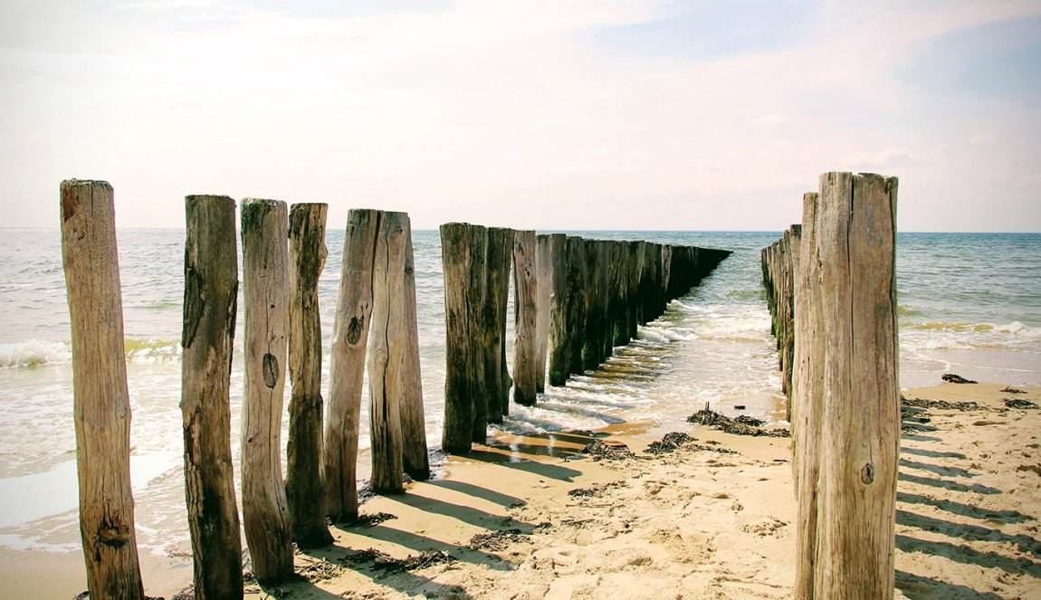 (paalhoofden) Beach poles in Zeeland