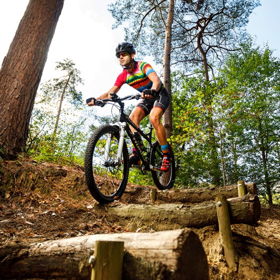 Mountain biking over the Sallandse Heuvelrug Overijssel