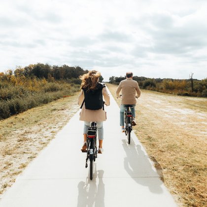 Van Gogh Drenthe cycling in the Bargerveen
