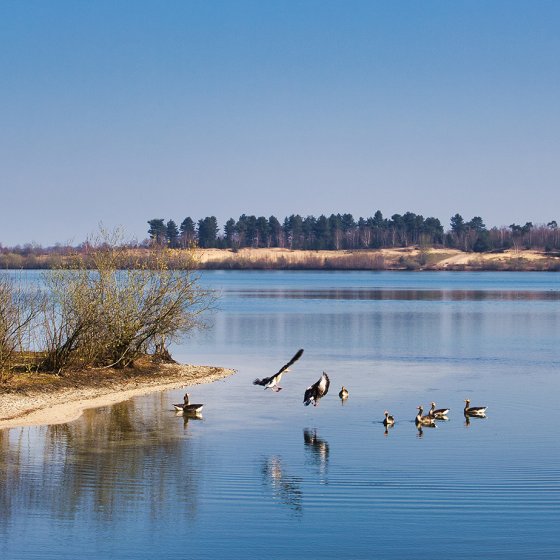 Nationaal Park De Maasduinen