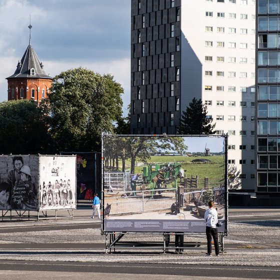 A person looking at a piece of art