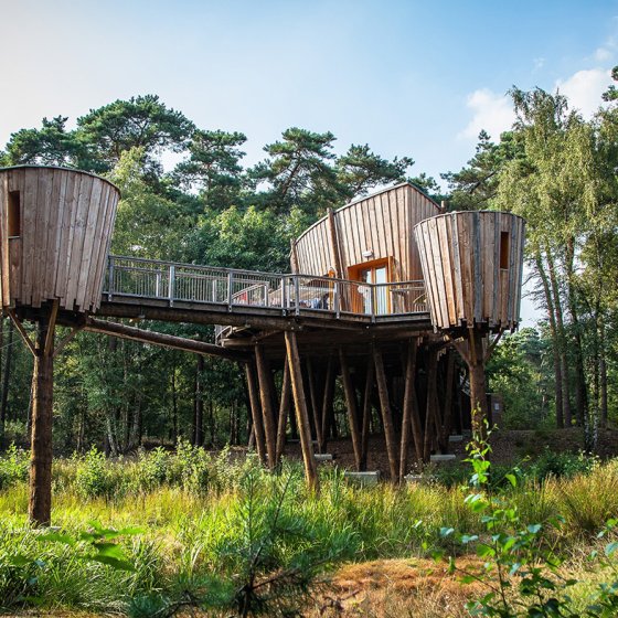 KABAN Hotel Kapellerput Eindhoven