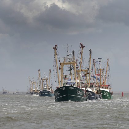 Shrimp boats at sea