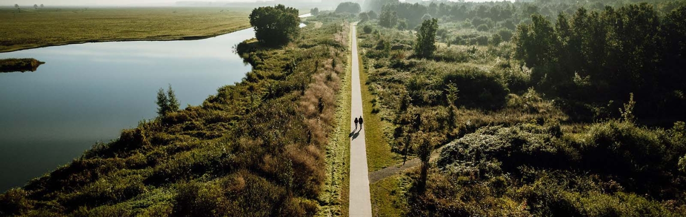 Oostvaardersplassen Oostvaardersplassen