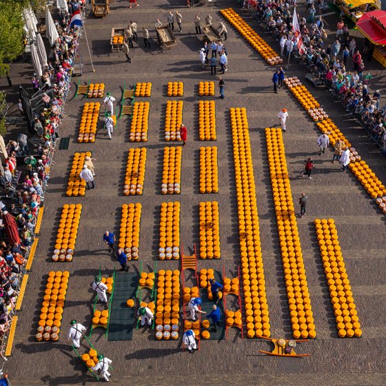 Cheese market Alkmaar
