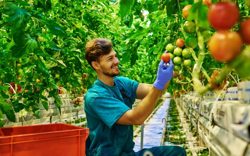 Get into the Greenhouse