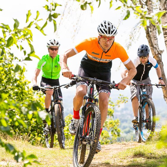 Group of mountain bikers on the road in a green trail near the Sint Pietersberg Mountains