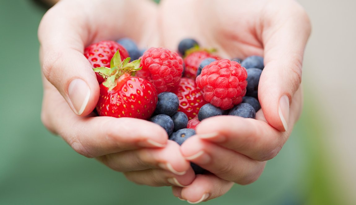 Hands full of picked fresh fruit