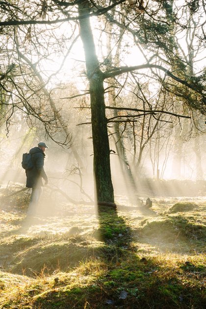 Winter hiking through the Drenth forest