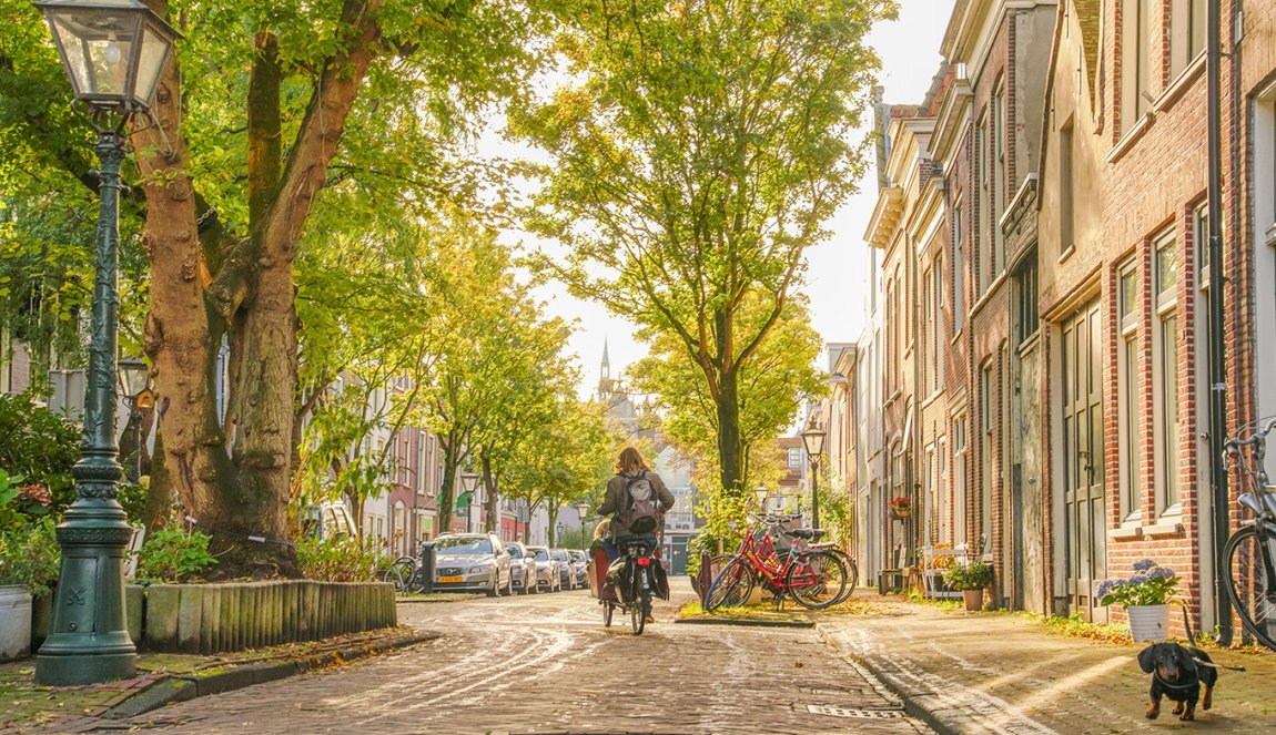 Cyclist with cargo bike in Leiden