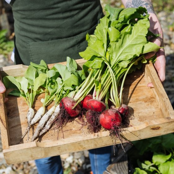 Niels van Zijl works primarily with local produce and fresh vegetables