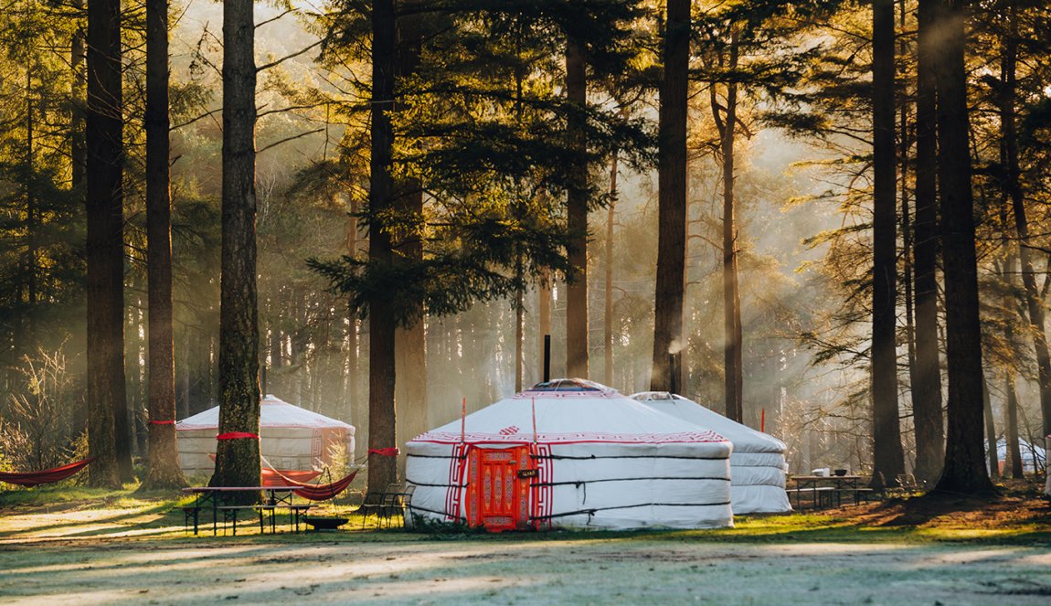 Yurt under the trees at Winterwoods Drenthe