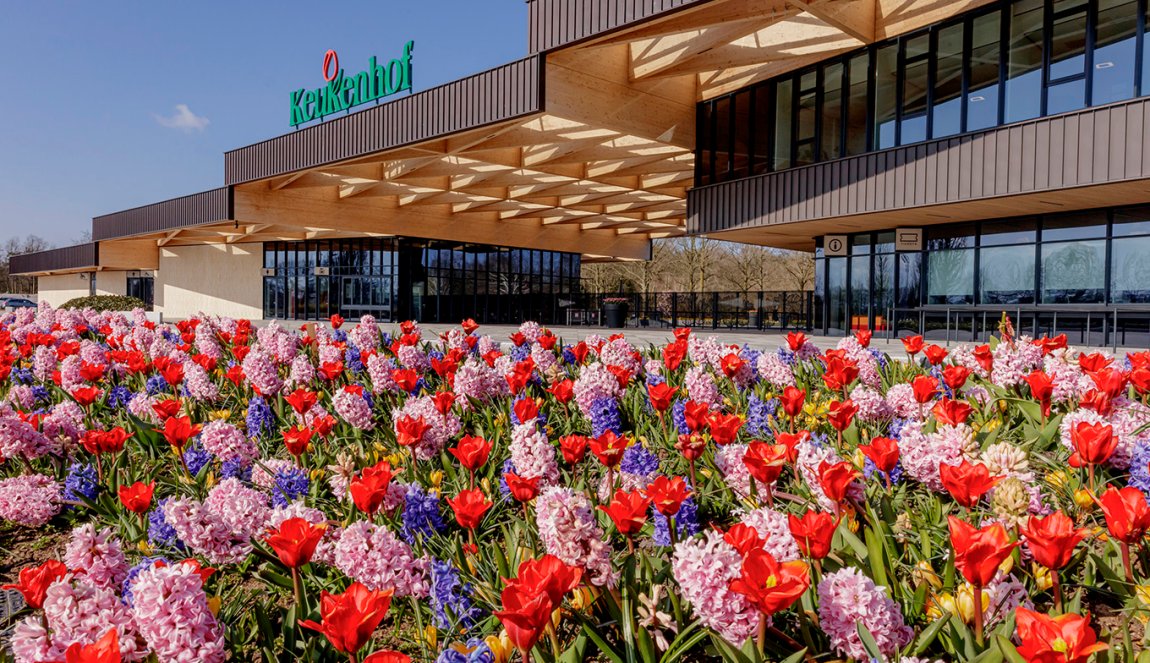 Flower field red, purple, pink and entrance Keukenhof Flower field red, purple, pink and entrance Keukenhof