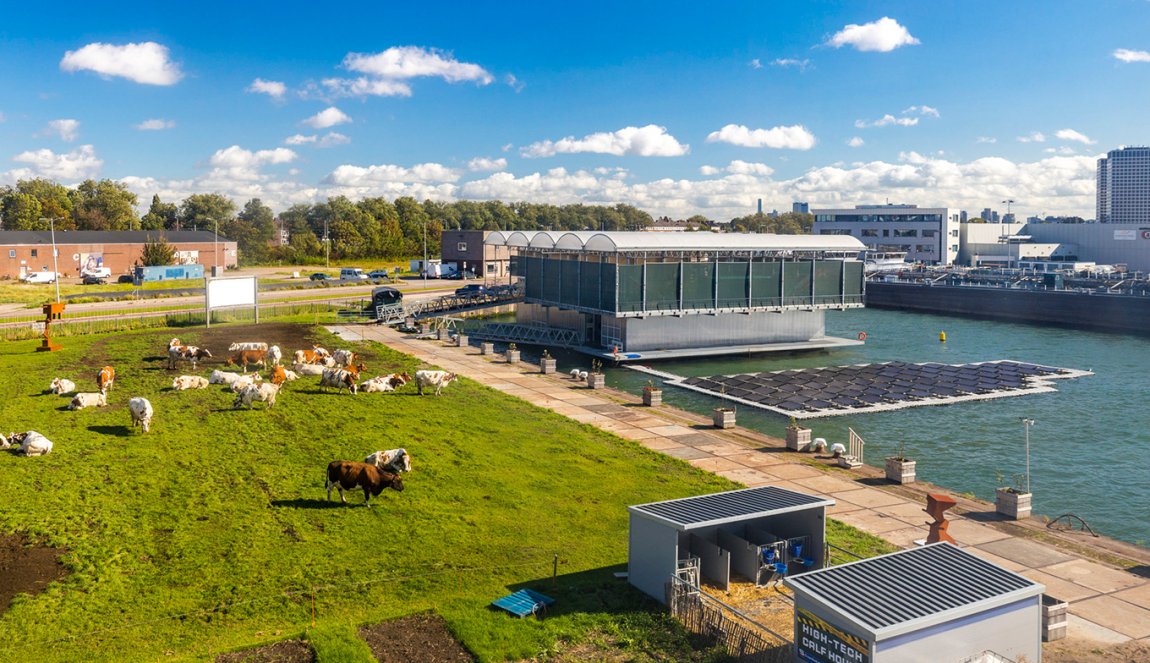 Floating Farm Rotterdam overview with cows and solar panels