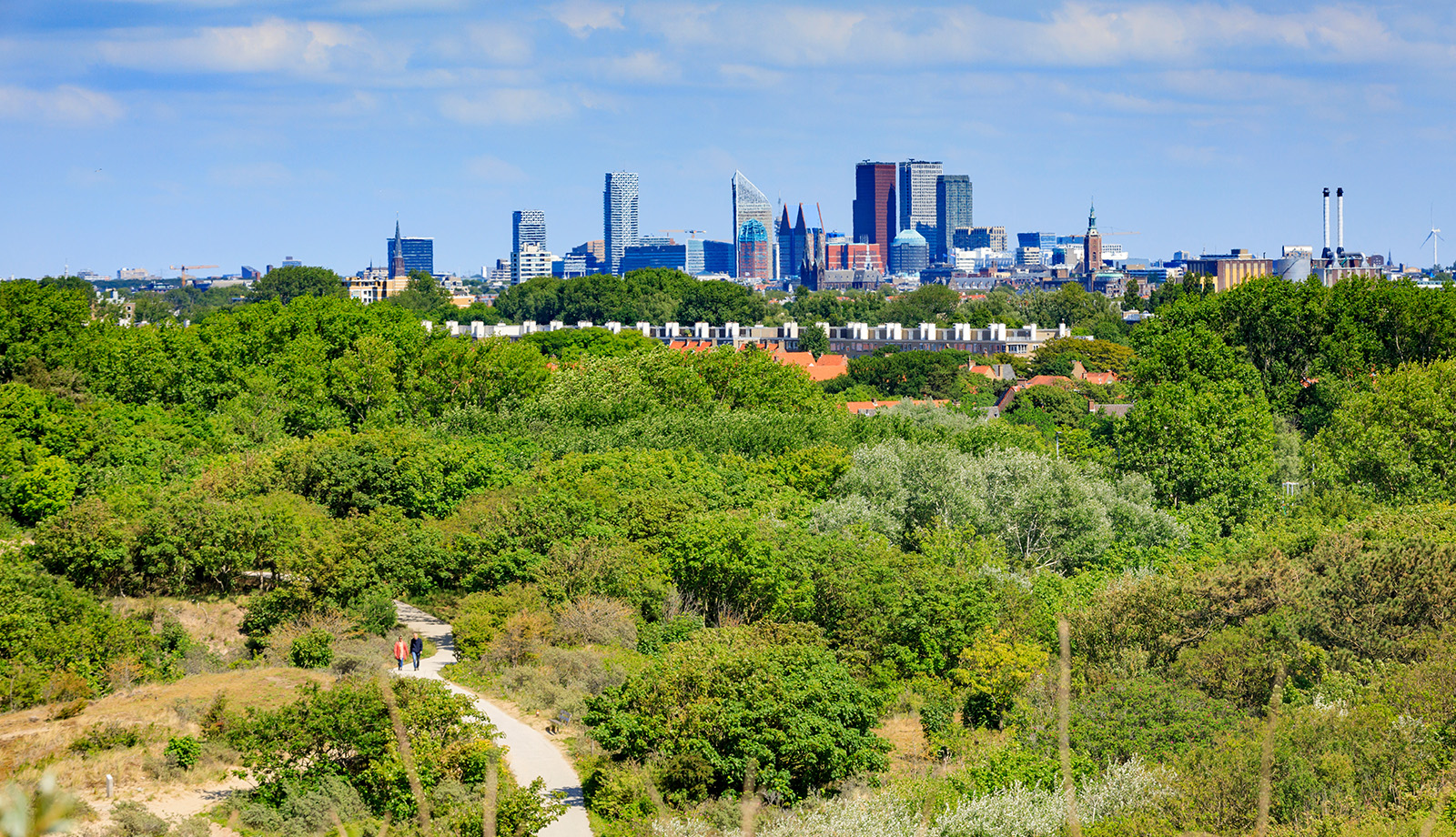 Dune area Meyendel - part of National Park Hollandse Duinen with view of The Hague skyline