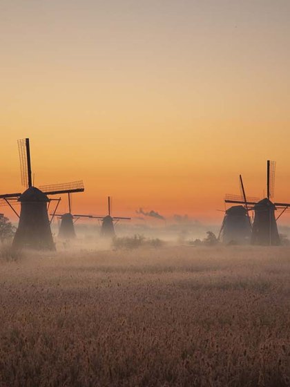 The windmills of Kinderdijk in the light of morning glory with a sunrise.