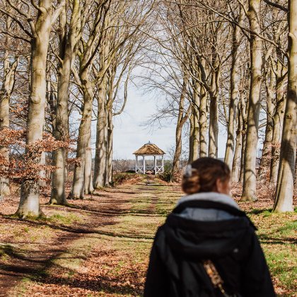 Van Gogh Brabant arbour and row of trees