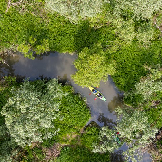Drone shot with trees and canoo at the Biesbosch national park