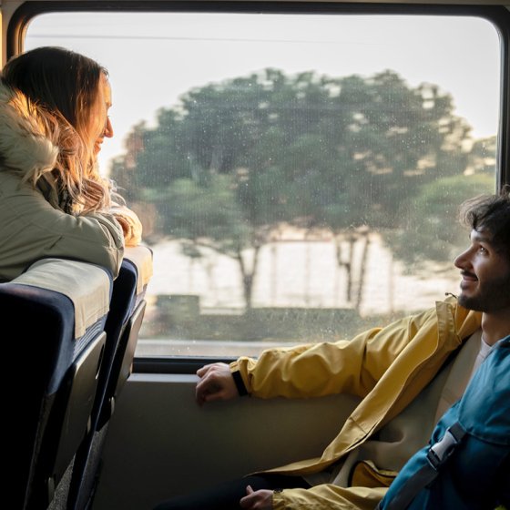 Couple travelling with luggage in train
