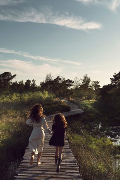 National Park De Groote Peel, wetlands in northern Limburg 