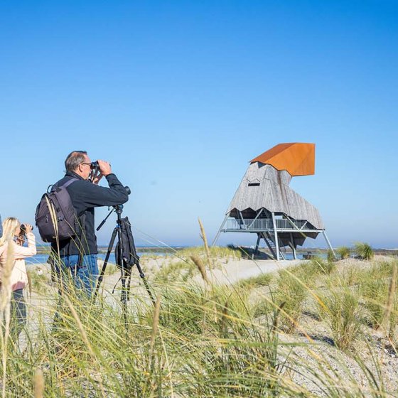 Bird watchers enjoy the view of Marker Wadden
