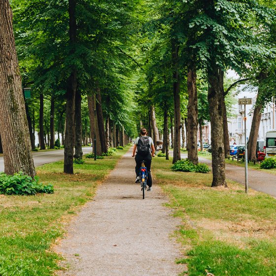 Utrecht Maliebaan cycling between the trees