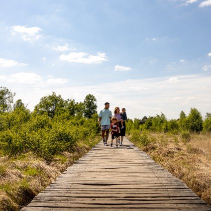 Family walking in De Groote Peel National Park
