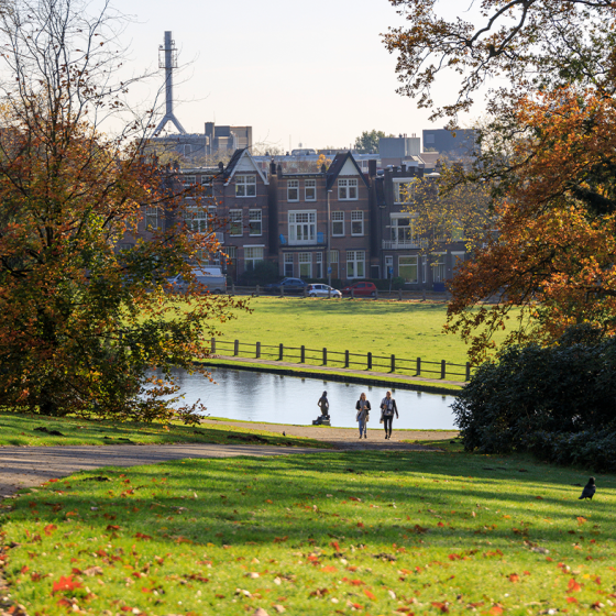 Park Sonsbeek in autumn
