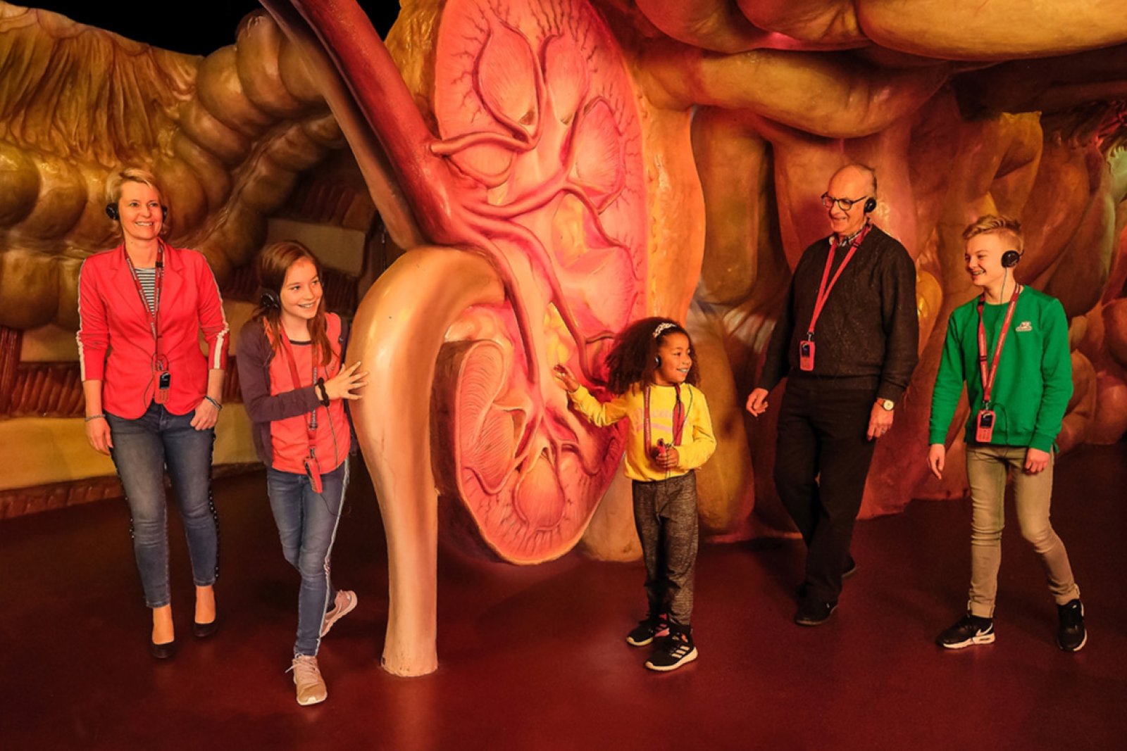 Duur Krankzinnigheid Verst CORPUS museum in Oegstgeest - Journey through the human body - Holland.com