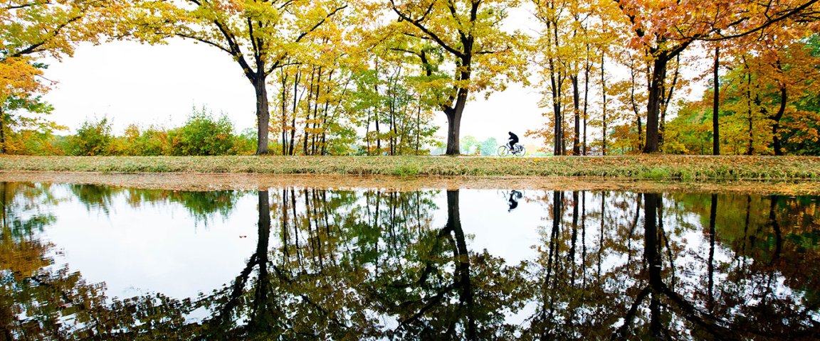 Cyclist through the forest in autumn colors with reflection in the water