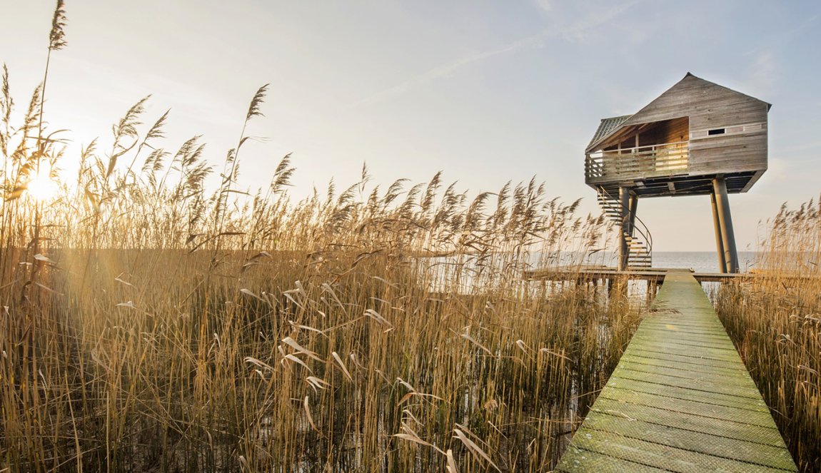 Vogelkijkhut Kiekkaaste, Nieuwe Statenzijl Vogelkijkhut Kiekkaaste, Nieuwe Statenzijl