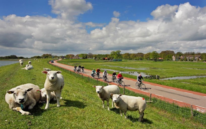 Cycling Rules In Holland