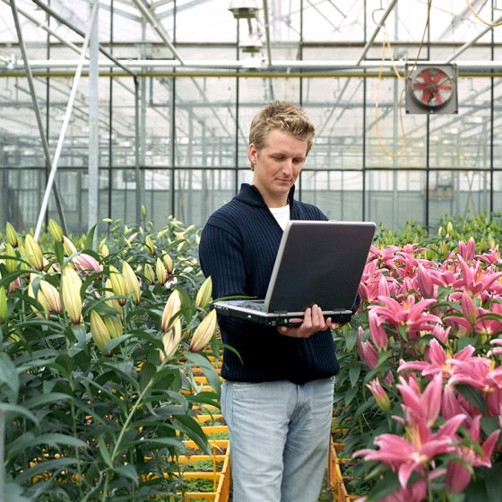Man monitoring flowers in a greenhouse