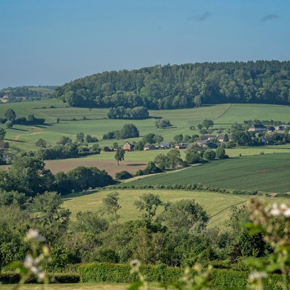 Heuvelland in Limburg