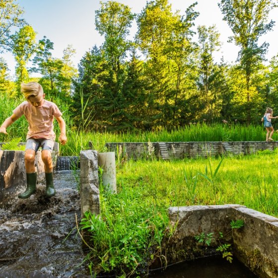 Kids playing at Waterloopbos Noordoostpolder