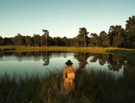 Women watching over Nationaal Park De Maasduinen Women watching over Nationaal Park De Maasduinen