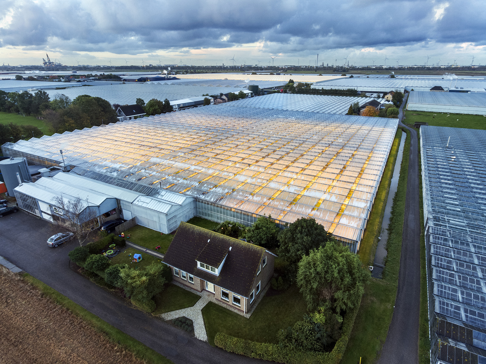 Greenhouses in Westland Greenhouses in Westland